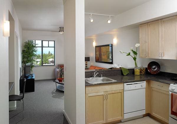 1BR/1BA Apartment on Mlk Jr Way · Berkeley photo 5