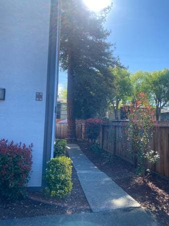 Tamarac Apartments photo 4