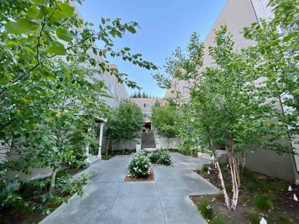 1BR/1BA Apartment on Sir Francis Drake Blvd · Ross photo 1