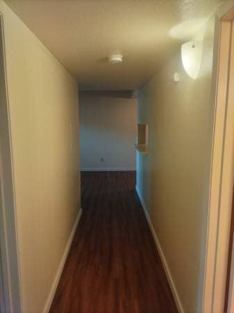 1BR/1BA Apartment on Leland Lane · Pittsburg photo 2