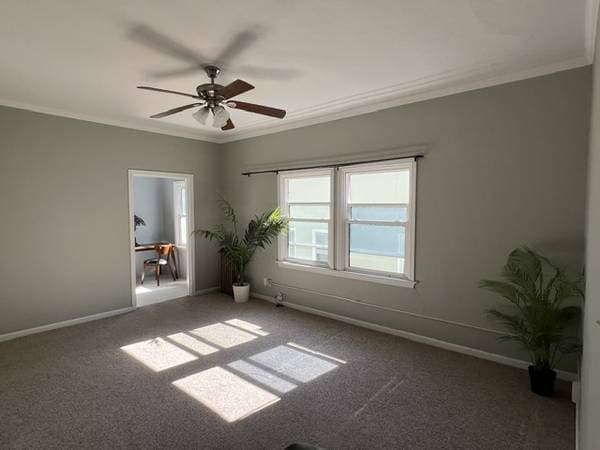 0BR/1BA Apartment on Hilgard · Berkeley photo 3