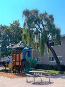 2BR/2BA Apartment on Central Ave. · Fremont photo 1