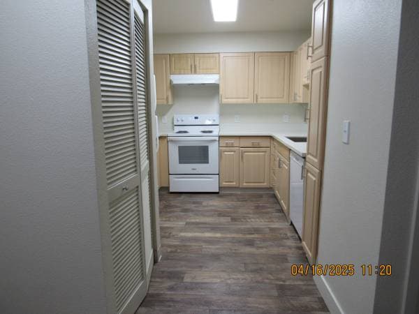 BRANHAM LANE APTS photo 4