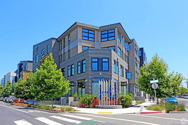 3900 Adeline photo 4