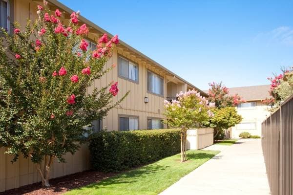 Furnished Studio-San Jose - Mountain View photo 5