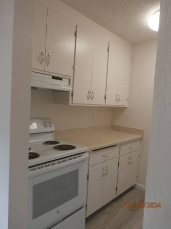 2BR/1BA Apartment on Pine Hill Rd. A · Mill Valley photo 5