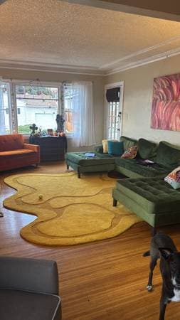 3BR/1BA Other · Albany photo 2
