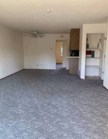 1BR/1BA Apartment · Santa Rosa photo 2