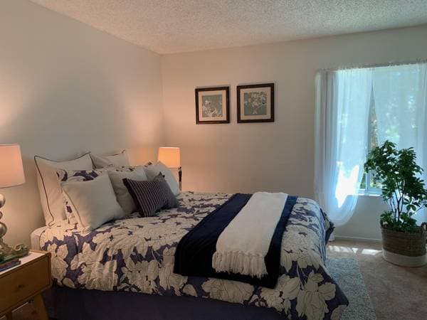 1BR/1BA Apartment on Northwood Dr · Concord photo 5