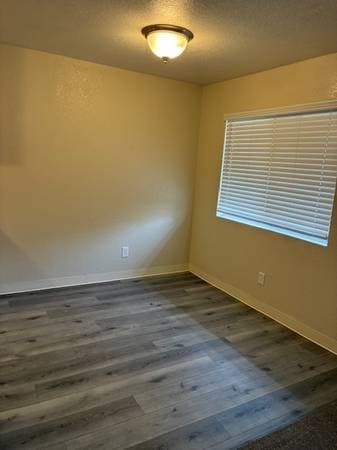 Birchwood Apartments photo 2