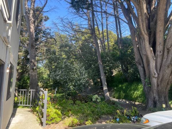 1BR/1BA Condo · San Bruno photo 1