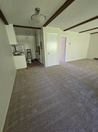 1BR/1BA Apartment · San Francisco photo 3