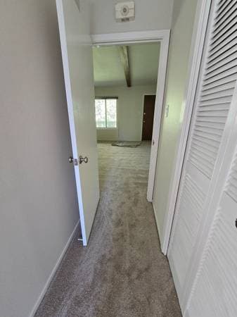 1BR/1BA Apartment · San Francisco photo 4