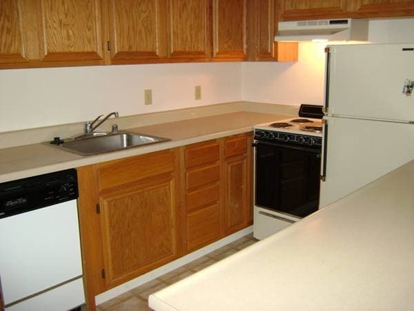 1385 Shattuck Avenue, Berkeley, CA 94709 photo 3