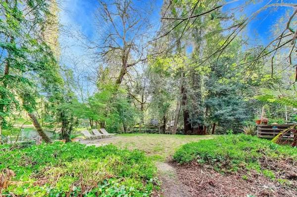 0BR/1BA Apartment on La Honda Road Unit · La Honda photo 2