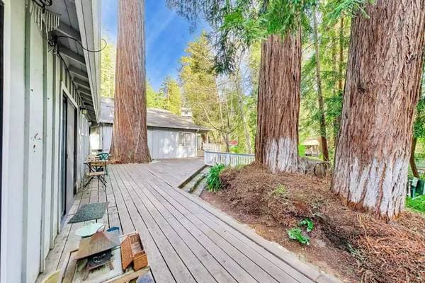 0BR/1BA Apartment on La Honda Road Unit · La Honda photo 5