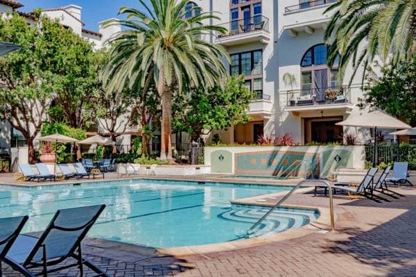 1BR/1BA Apartment on Ryland St. · San Jose photo 1