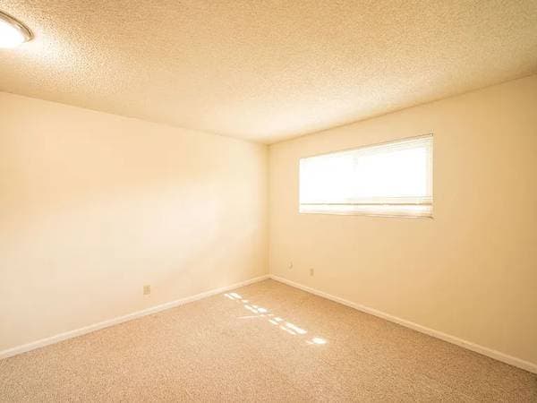 1509 Hearst photo 5