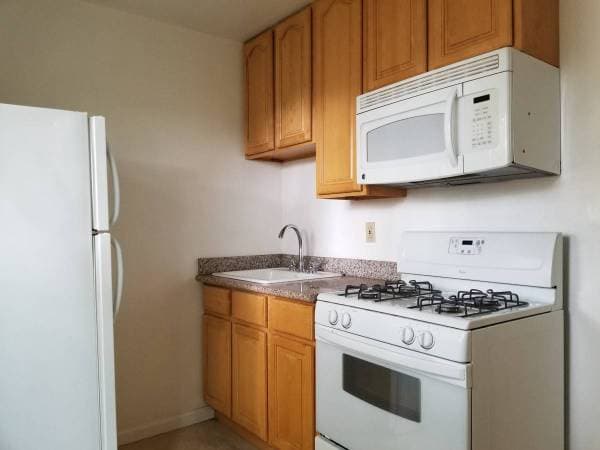 0BR/1BA Apartment · Berkeley photo 3