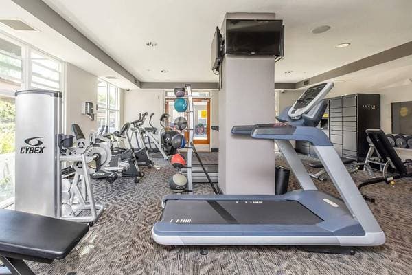 1BR/1BA Apartment on Schmidt Lane · El Cerrito photo 1