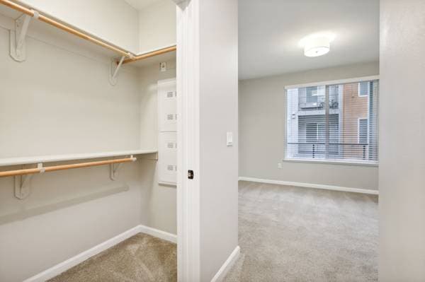 1BR/1BA Apartment on Baywood Drive · Petaluma photo 3