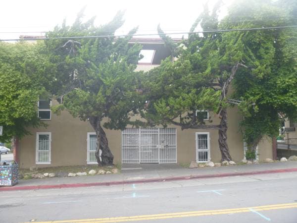 1805 8th Avenue #4 photo 3
