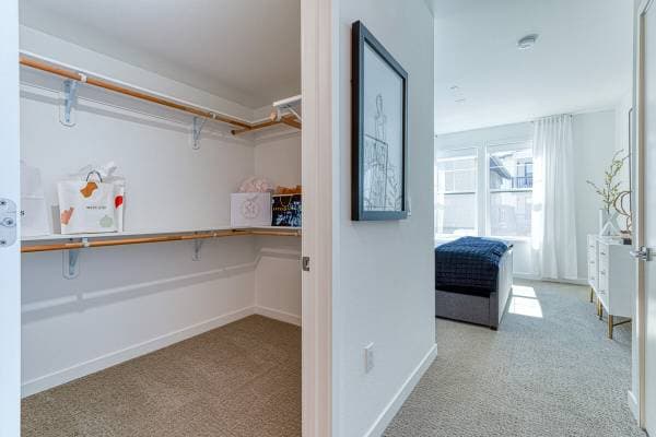 3BR/2BA Apartment on Diablo Road · Danville photo 1