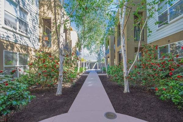 1BR/1BA Apartment on Schmidt Lane · El Cerrito photo 1