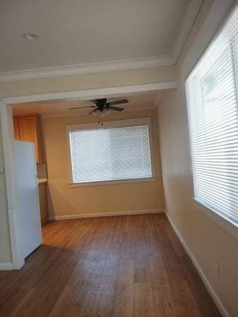 521 South Willard Avenue, San Jose, CA 95126 photo 5