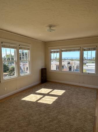 0BR/1BA Apartment · Oakland photo 3