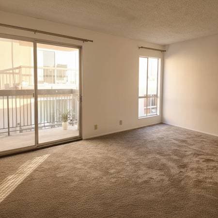 150 Pearl Street #214 photo 3