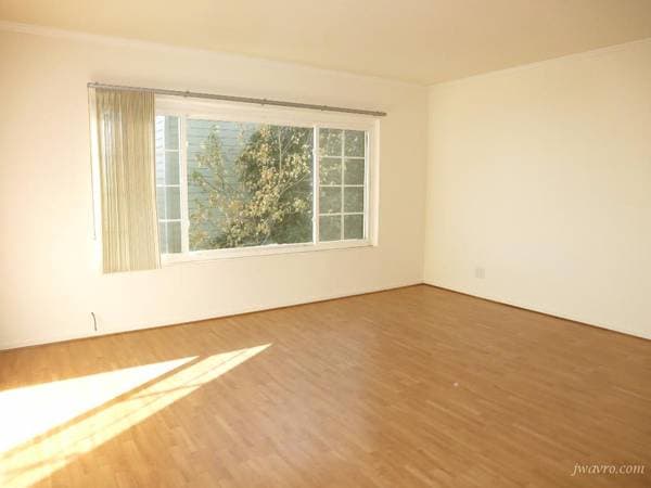 1BR/1BA Apartment · San Francisco photo 2
