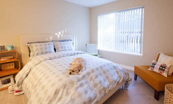 1BR/1BA Apartment on Pepper Tree Ln · Santa Clara photo 2