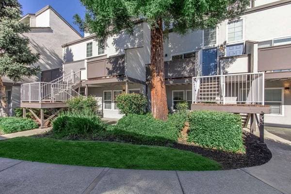 1BR/1BA Apartment on Contra Costa Boulevard · Pleasant Hill photo 4