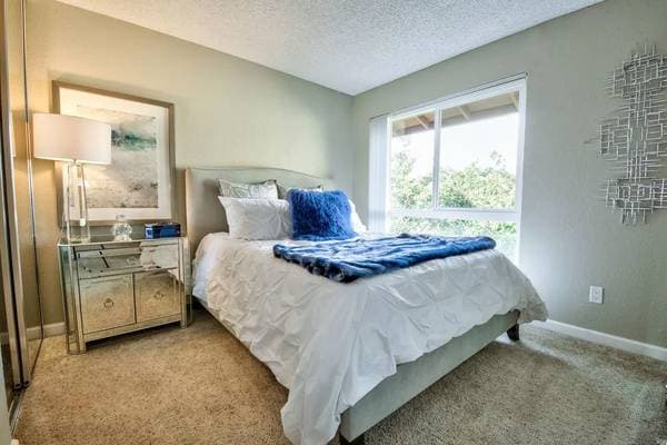1BR/1BA Apartment on Monroe Ave · Fremont photo 2