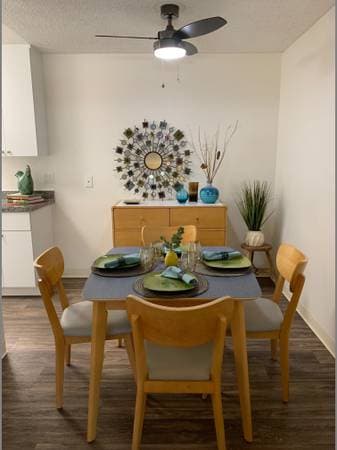 1BR/1BA Apartment on Northwood Dr · Concord photo 5