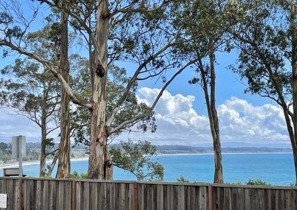 2BR/2BA Condo on Balboa Ave · Capitola photo 2