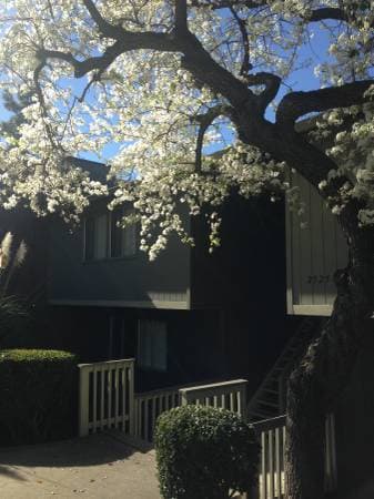2BR/2BA Apartment on Kelly St. · Hayward photo 2