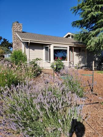 0BR/1BA In Law Adu · Petaluma photo 1