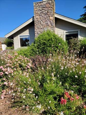 0BR/1BA In Law Adu · Petaluma photo 2