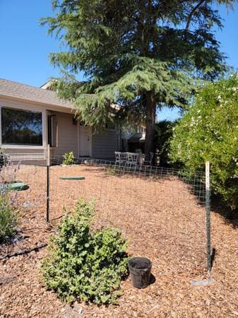 0BR/1BA In Law Adu · Petaluma photo 4
