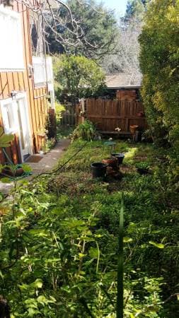 0BR/1BA In Law Adu · Fairfax photo 3