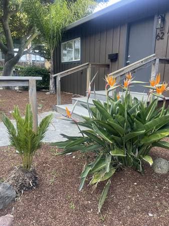 1BR/1BA Apartment on Crescent · Sausalito photo 2