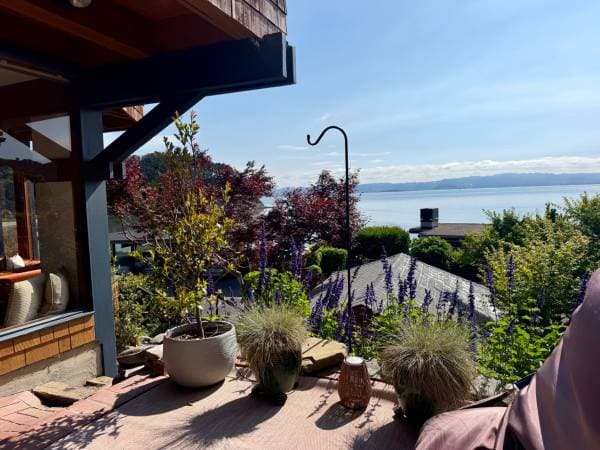 1BR/1BA Apartment · Belvedere Tiburon photo 4