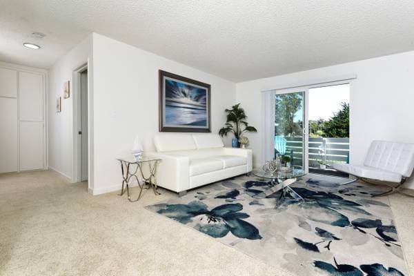 1BR/1BA Apartment on Columbia St · Santa Cruz photo 5