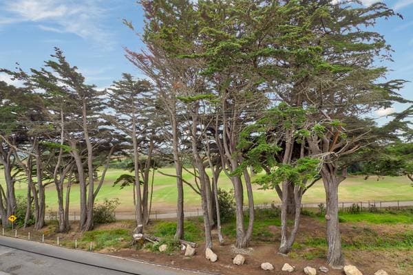 1BR/1BA Apartment on Paloma Ave · Pacifica photo 3