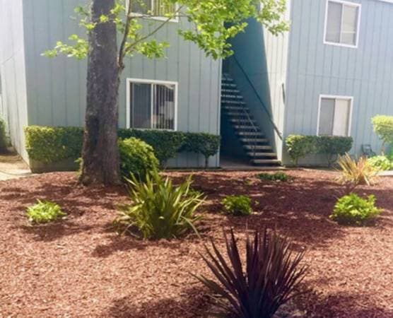 2BR/1BA Apartment · Santa Cruz photo 3
