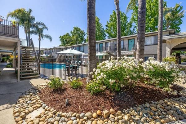 1BR/1BA Apartment on Hollis Avenue · Campbell photo 5