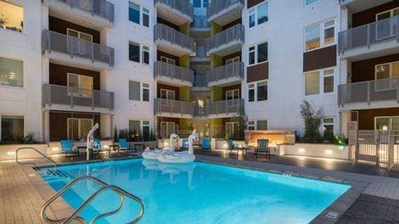 1BR/1BA Apartment · San Jose photo 3