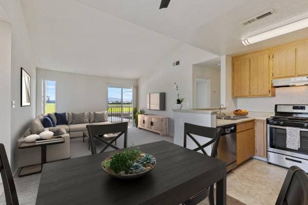 1BR/1BA Apartment · Tracy photo 2